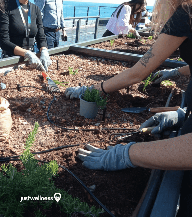 team building saludable empresas (4)