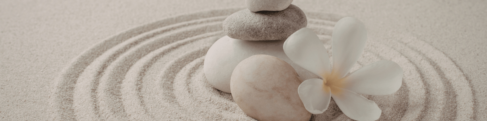 mindfulness para mujeres profesionales