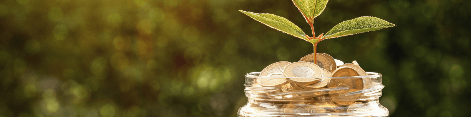impacto del estrés financiero en la productividad